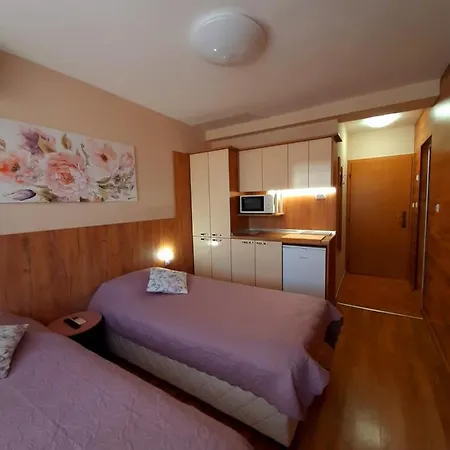 Guest house Private Silvia *