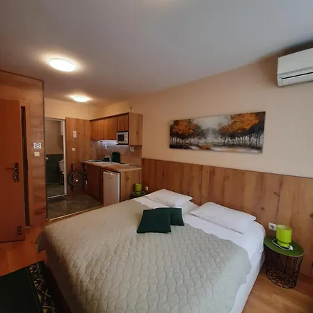 Private Silvia Guest house *