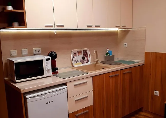 Private Valis Pensiune 4*