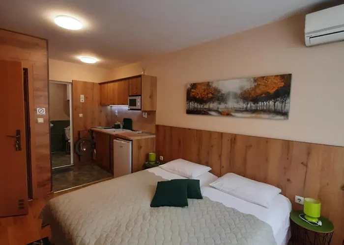 Private Valis Pensionat 4*