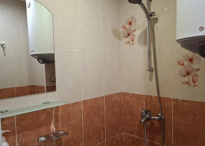 Pensionat Private Valis