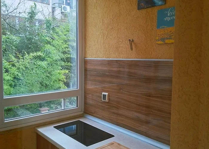 Pensionat Private Valis